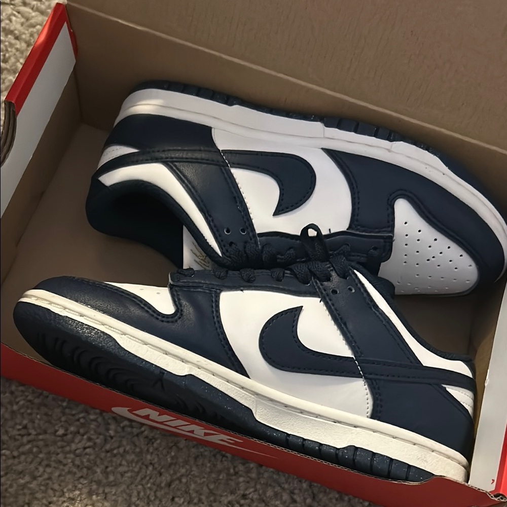 Nike Blue and White Dunk Sneakers Low-Top